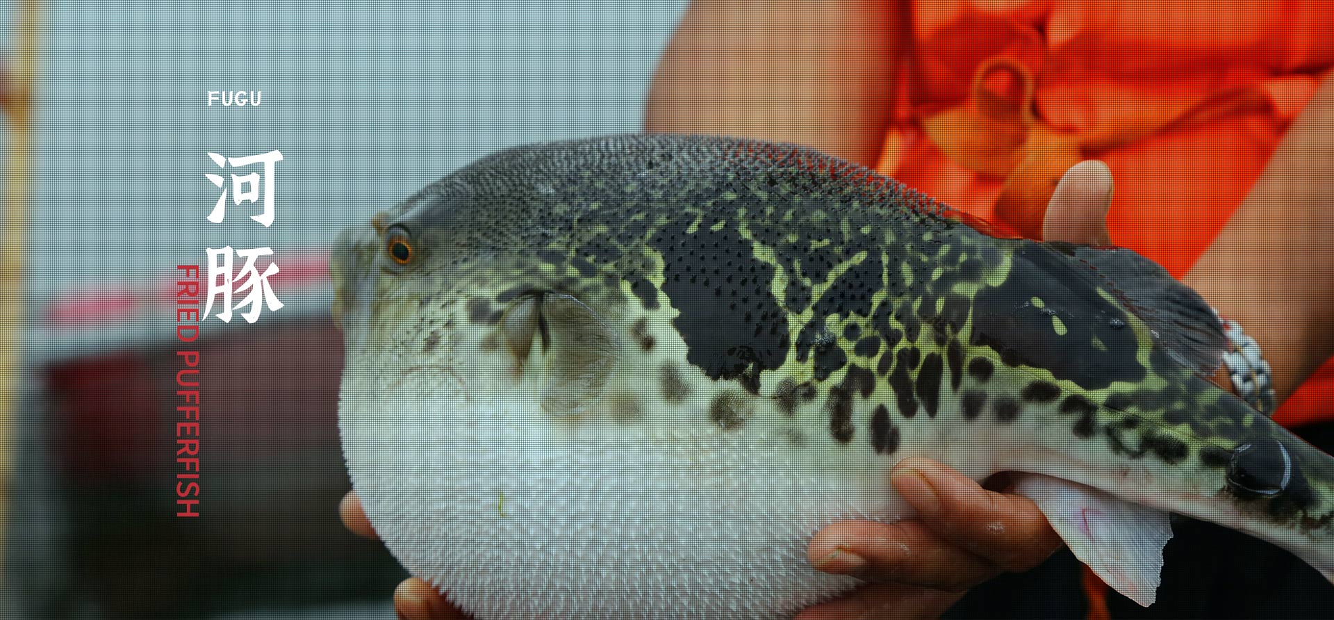 腾博会·诚信为本,专业效劳_官方网站