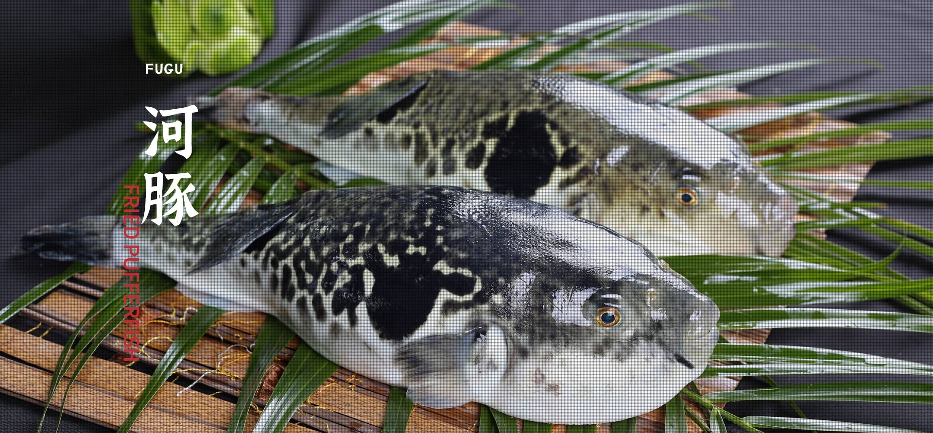 腾博会·诚信为本,专业效劳_官方网站